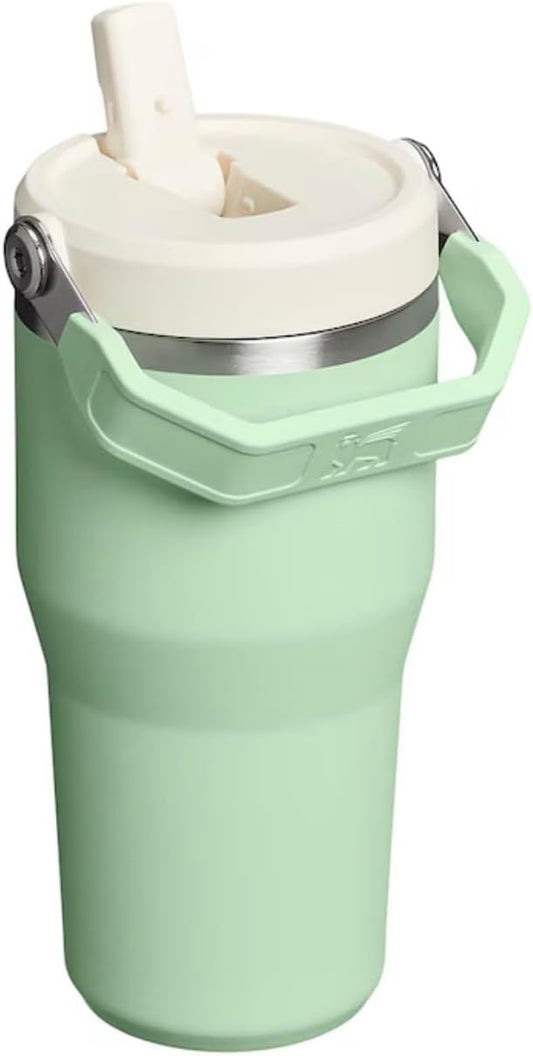 STANLEY IceFlow - Vaso con pajilla abatible con asa, de 20 onzas, t...
