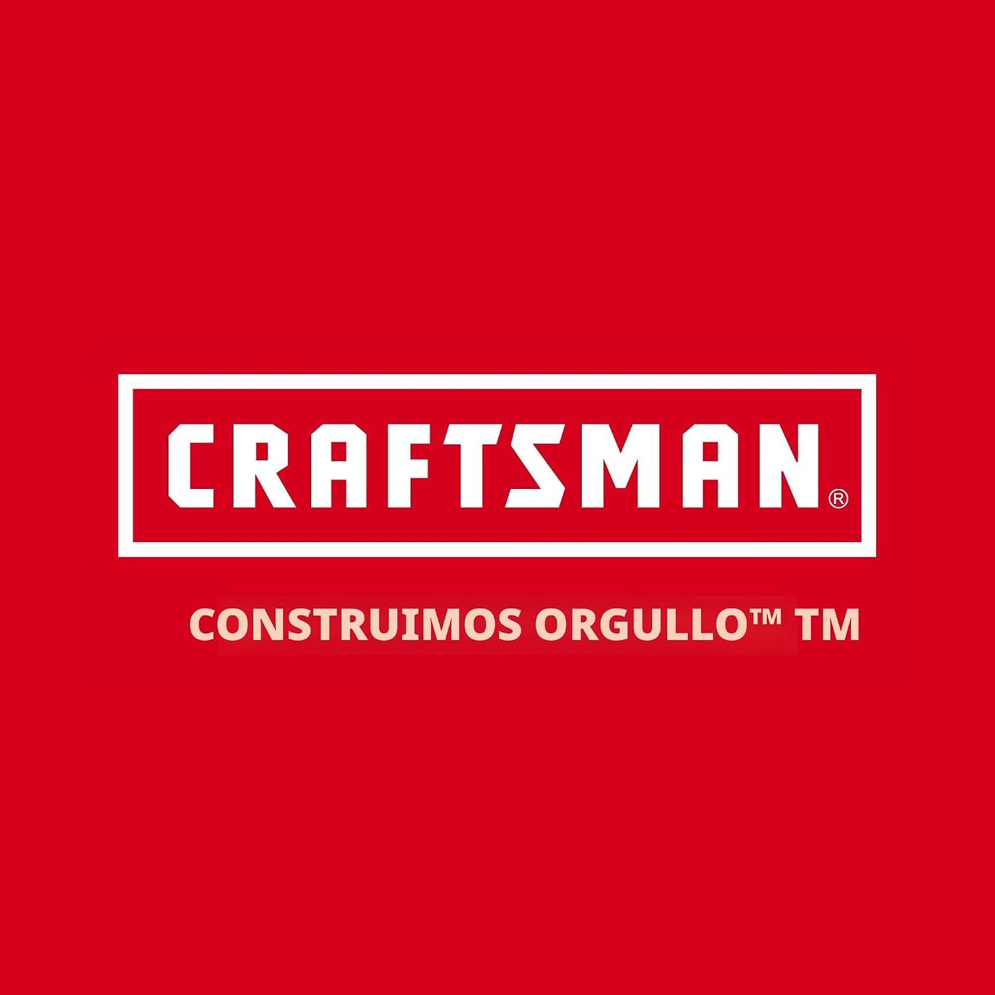 CRAFTSMAN Juego de llaves, 159 piezas de llaves de tubo hexagonal p...
