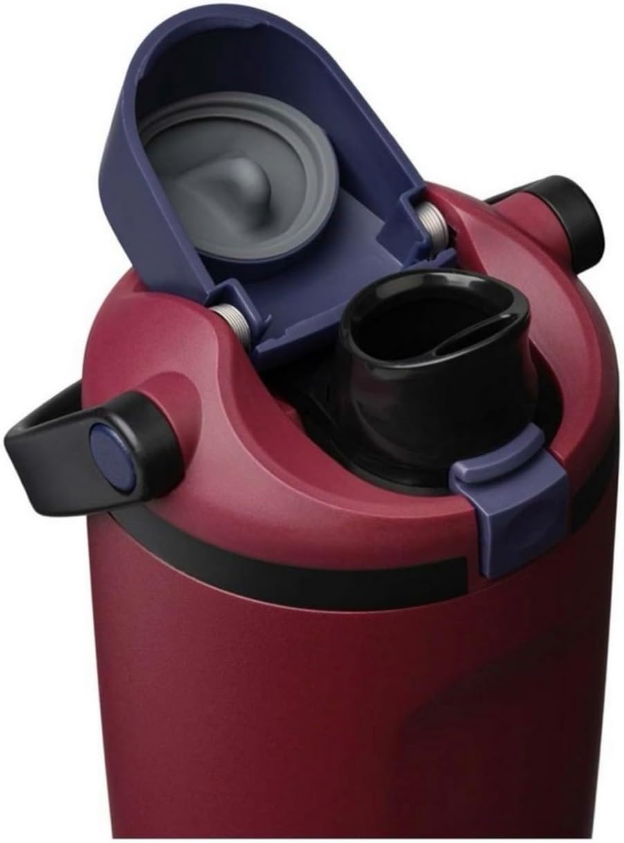 Owala FreeSip Sway - Vaso aislado de acero inoxidable con pajilla,...
