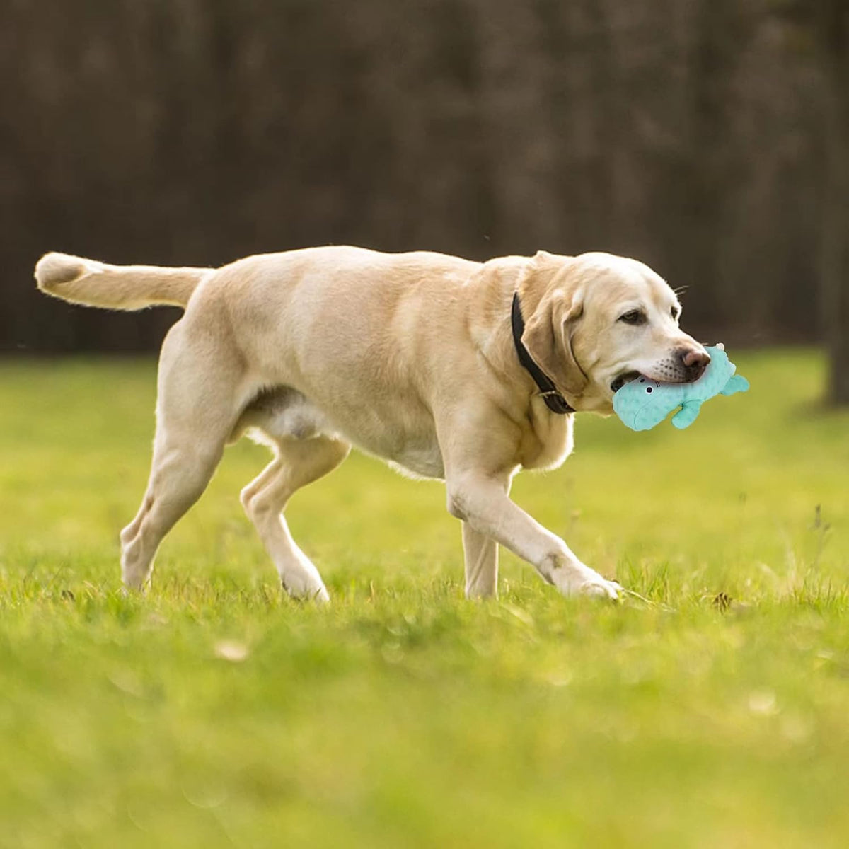 DODODOLA Juguetes de Perro de Hipopótamo Rellenos Lindos Juguetes C...
