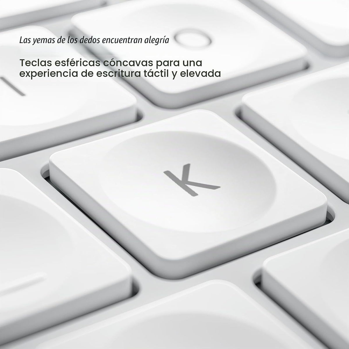 Nulea (D-Rosa-Blanco)
