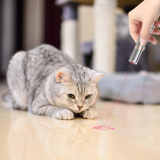 TBTeek Juguetes para gatos, con caja de metal, 2 piezas, recargable...