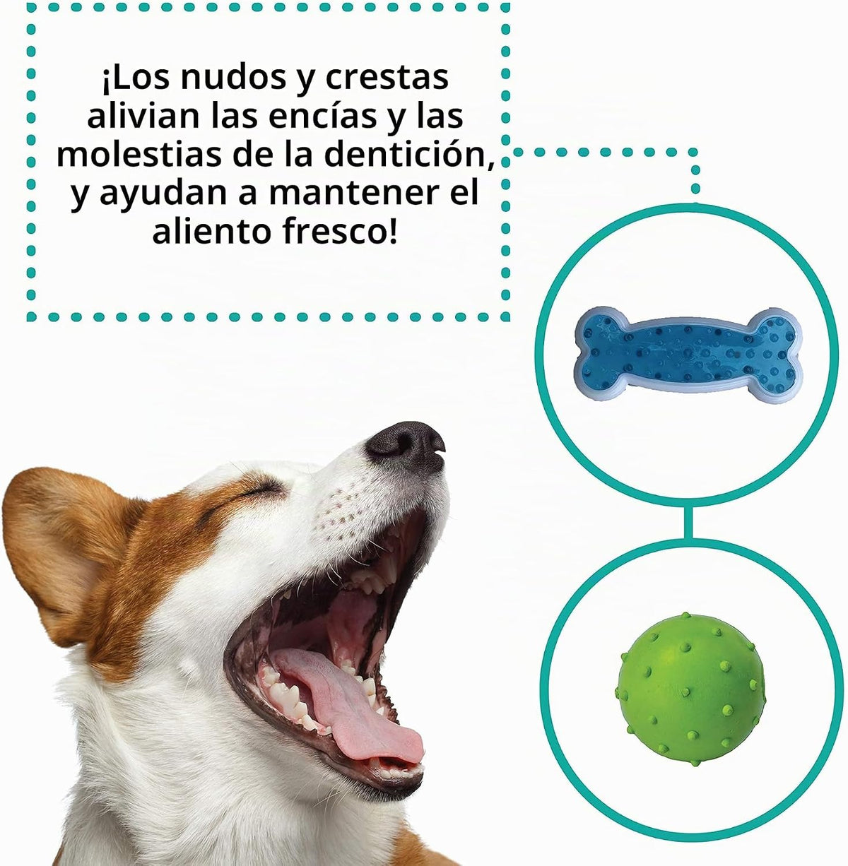 Rocket & Rex, juguetes masticables para perros y cachorros. Lim...