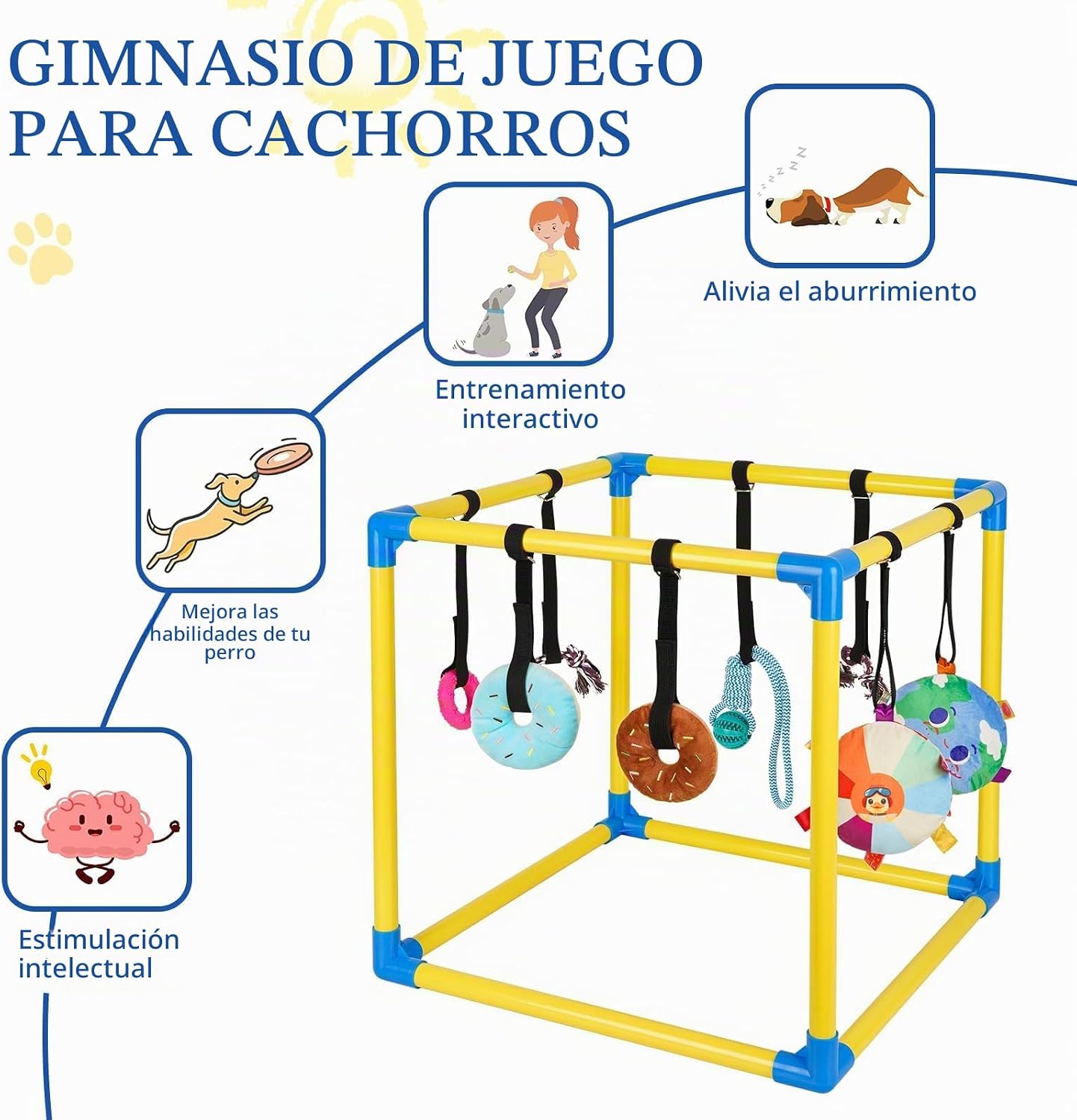 Liitrton Gimnasio de juego para cachorros \u2013 Gimnasio de juego...