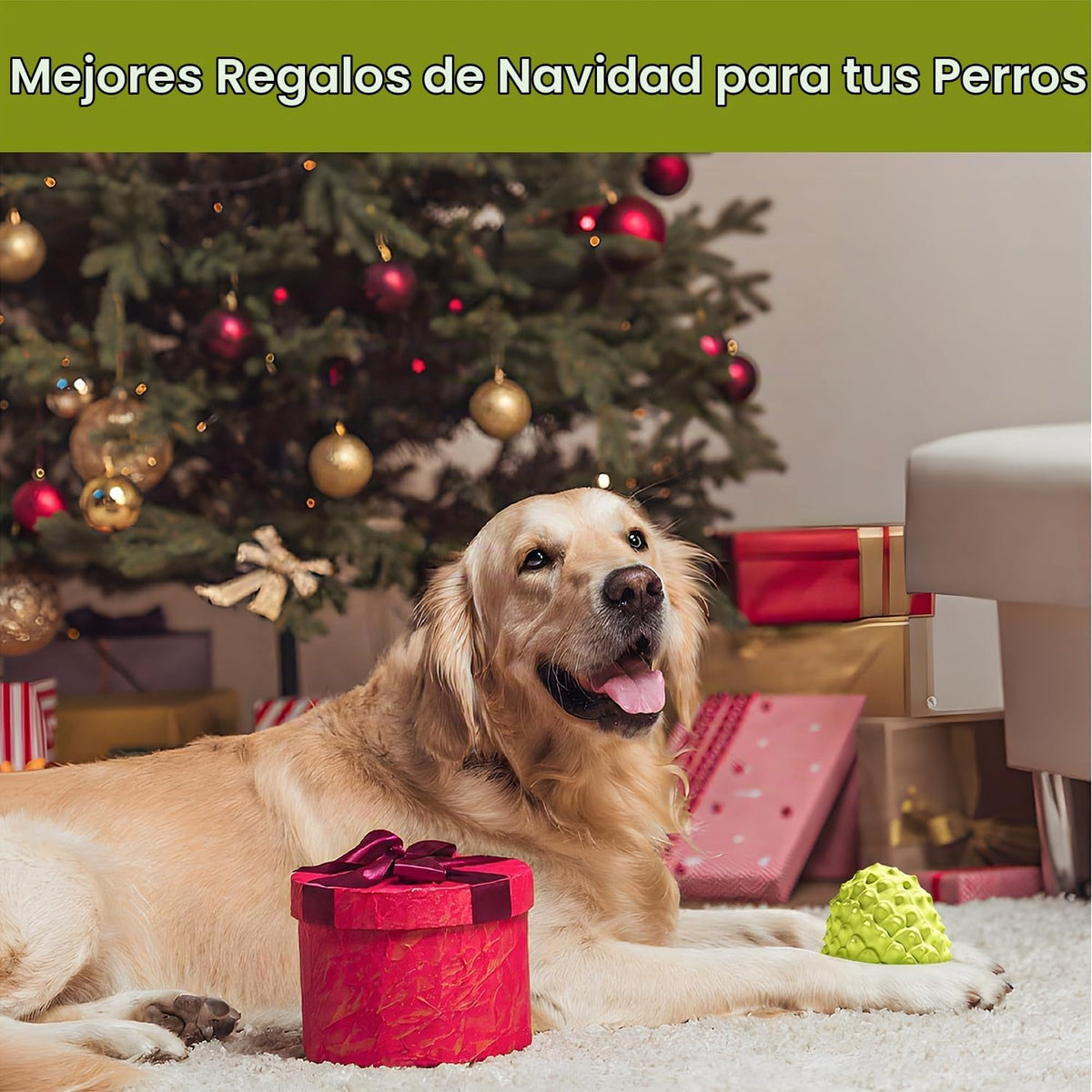 MewaJump Juguetes Chirriantes para Perros Masticadores Agresivos, J...
