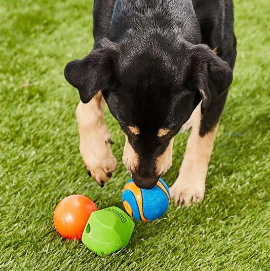 Chuckit! Fetch Pack - Pelota de juguete para perros, tamaño mediano...