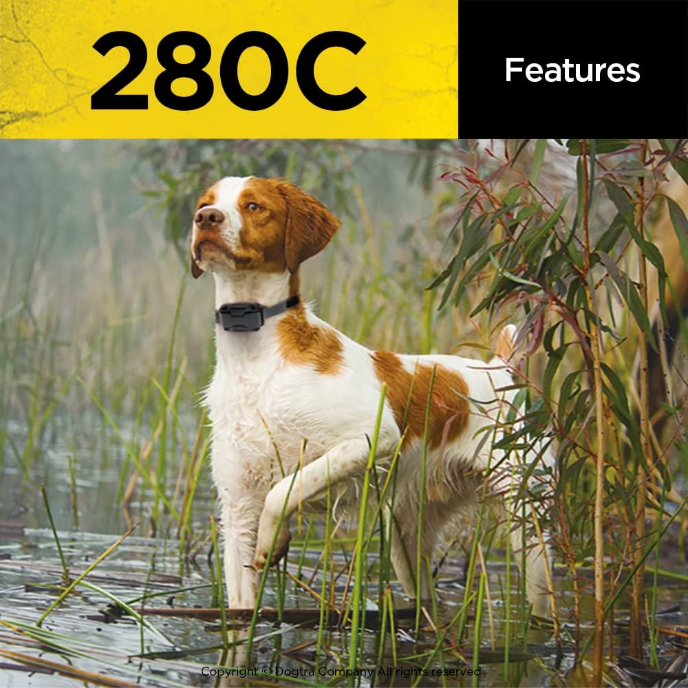 Dogtra 280C Collar E-perro impermeable con pantalla LCD de control...
