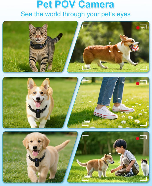 Collar de cámara para gatos con aplicación de teléfono y grabación...
