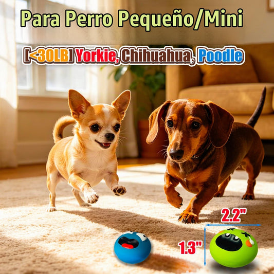 Juguetes chirriantes para perros pequeños \u2013 Surtido de látex d...