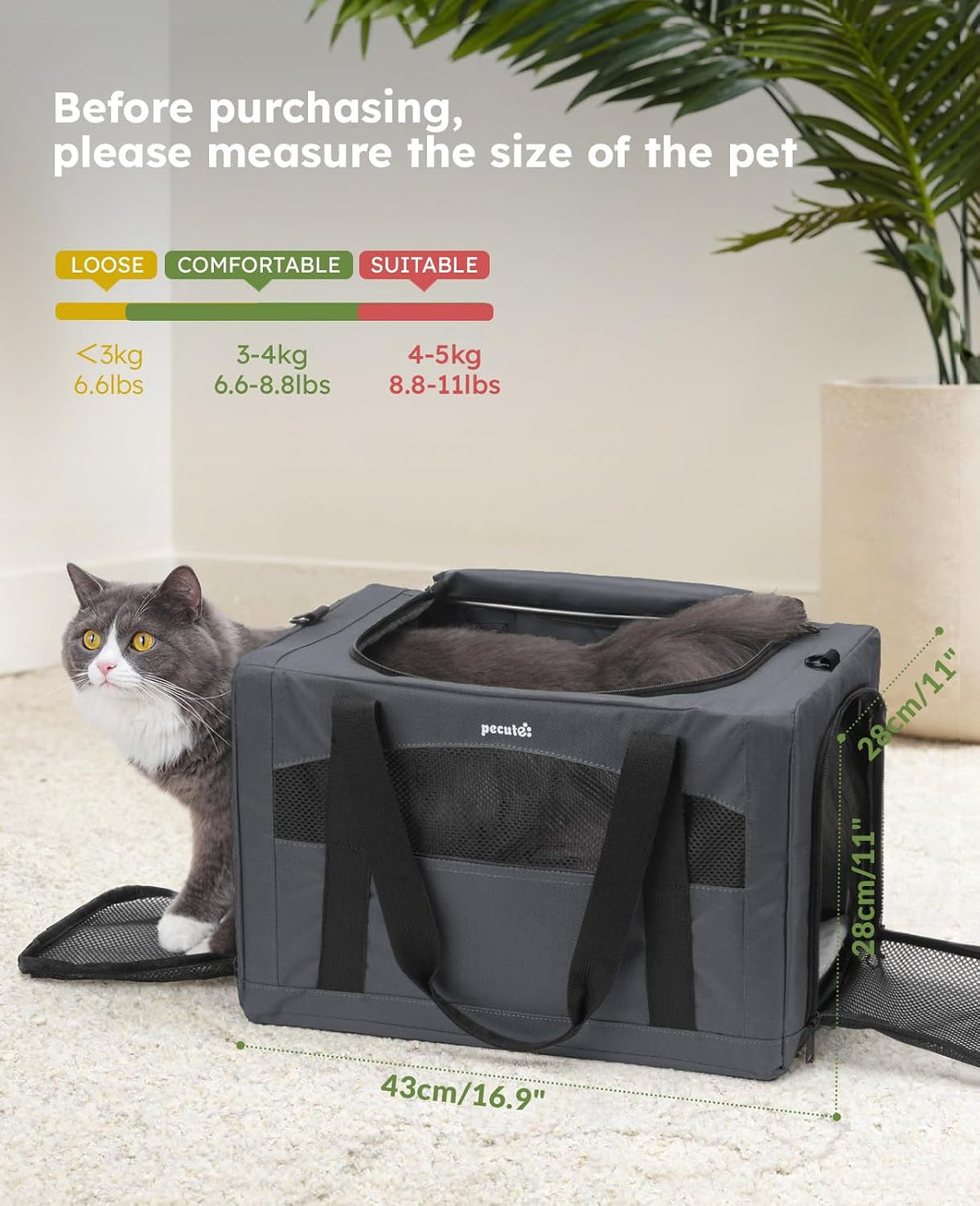 Pecute Transportador estable para gatos, transportador de mascotas...
