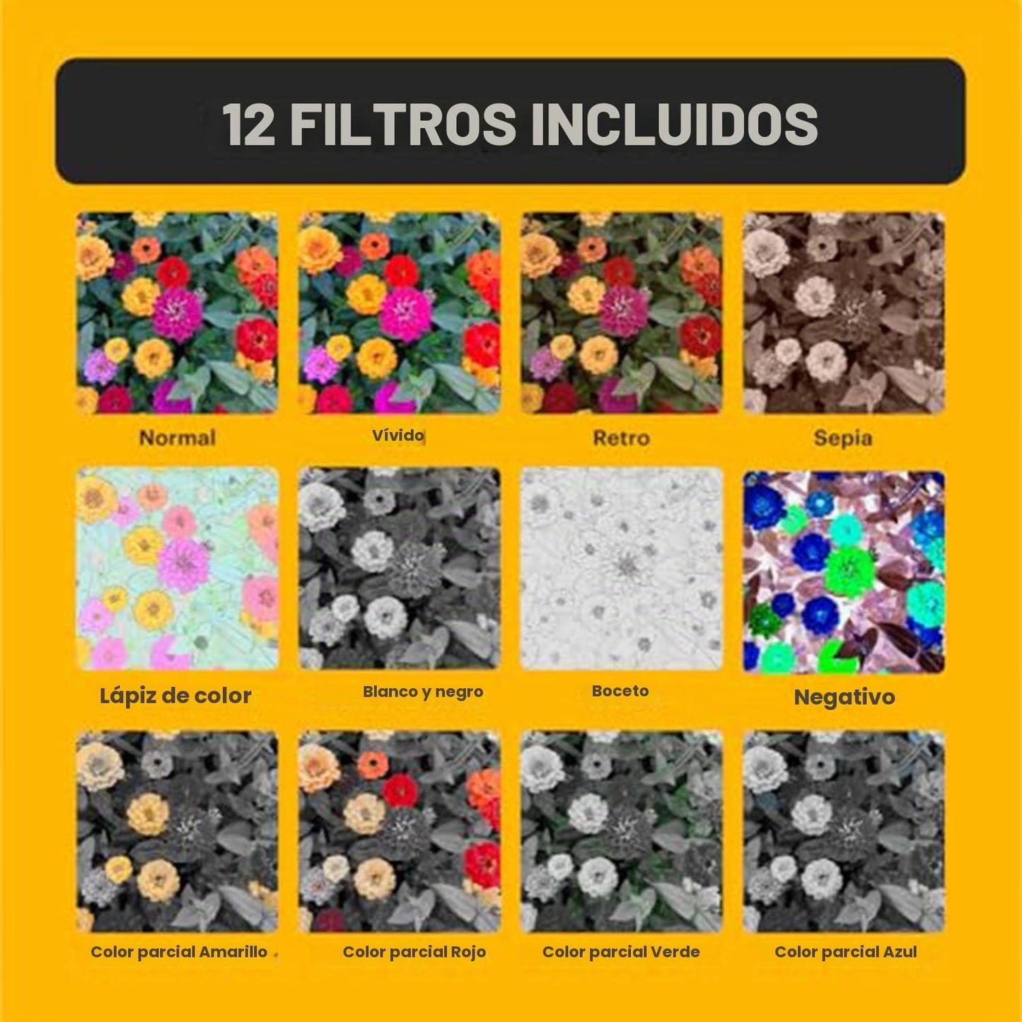 Kodak PIXPRO C1 Cámara Digital Compacta (Marrón Claro) Paquete con...