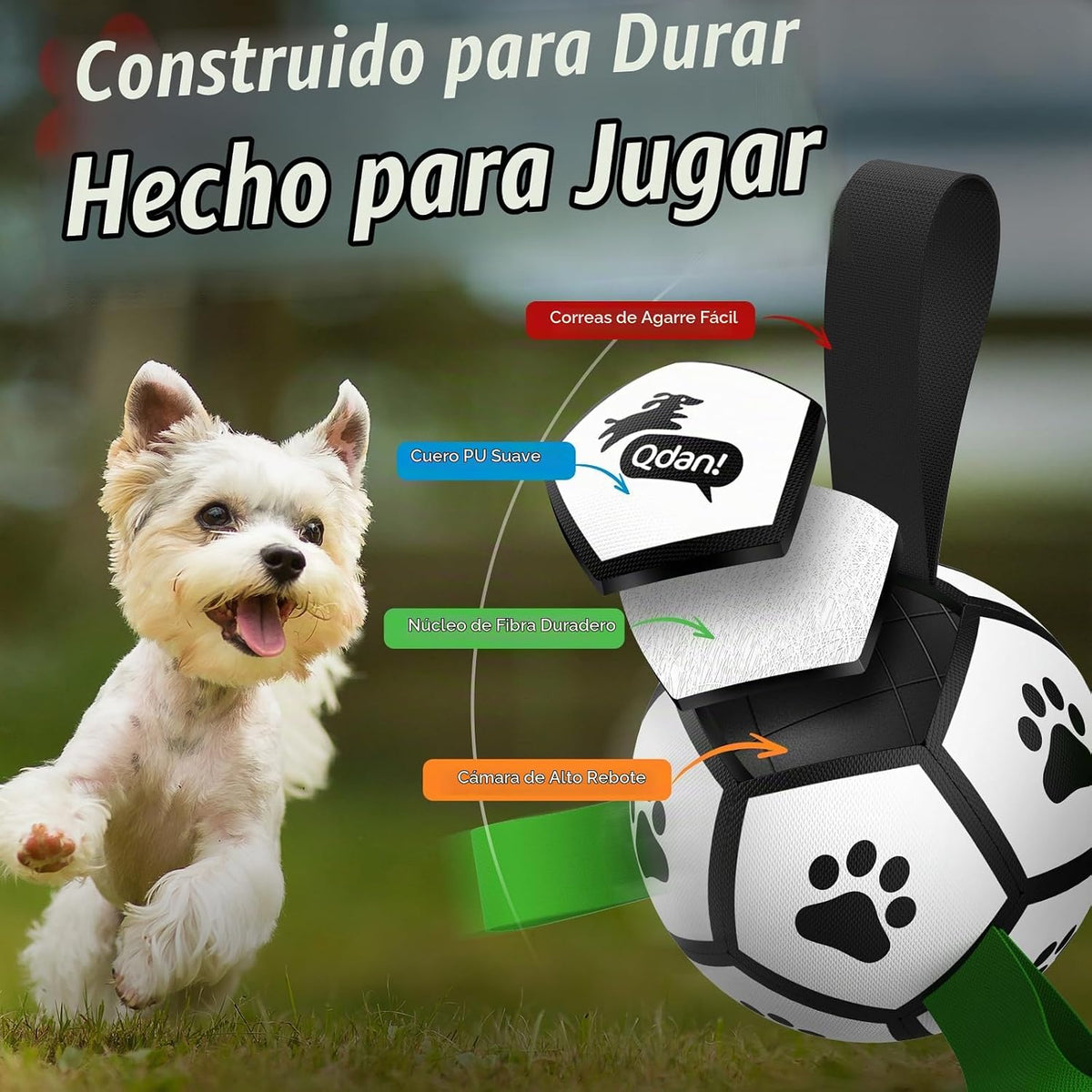 QDAN Juguetes para perros pequeños, pelota de fútbol al aire libre...