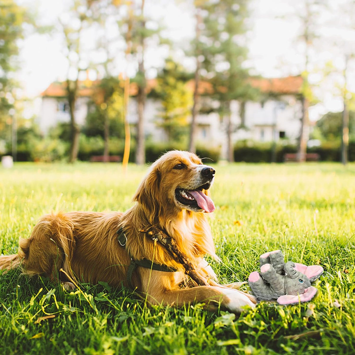 DODODOLA Juguetes para perros, juguetes para cachorros, lindo jugue...