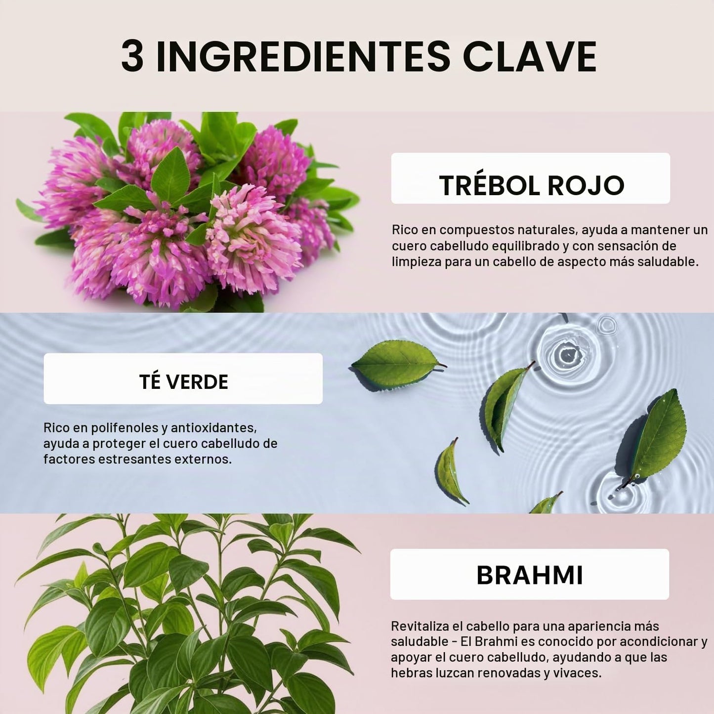 ACTIIV Recover Tratamiento de Champú Densificante para Mujeres | Ap...