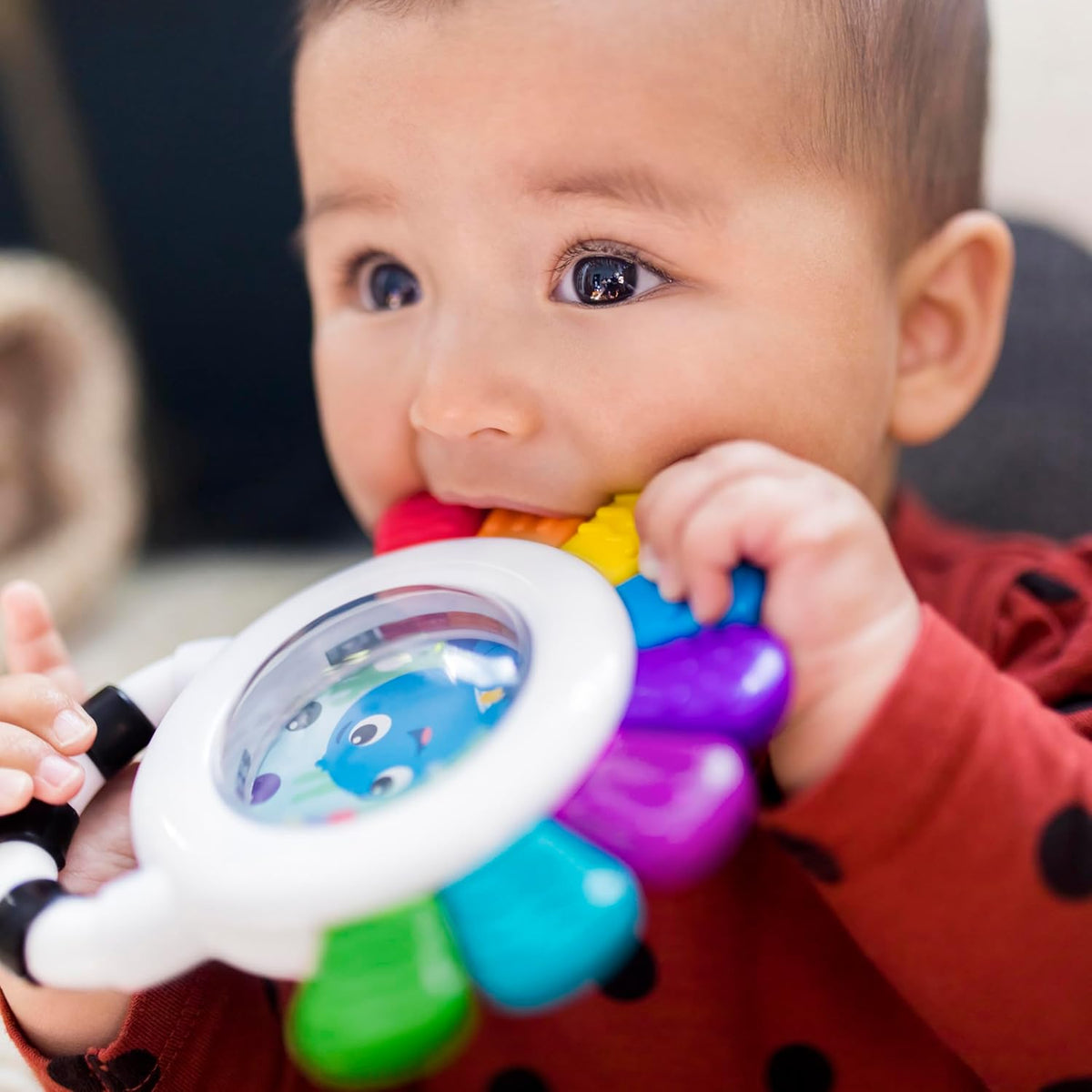Baby Einstein Outstanding Opus The Octopus - Sonajero sensorial y m...