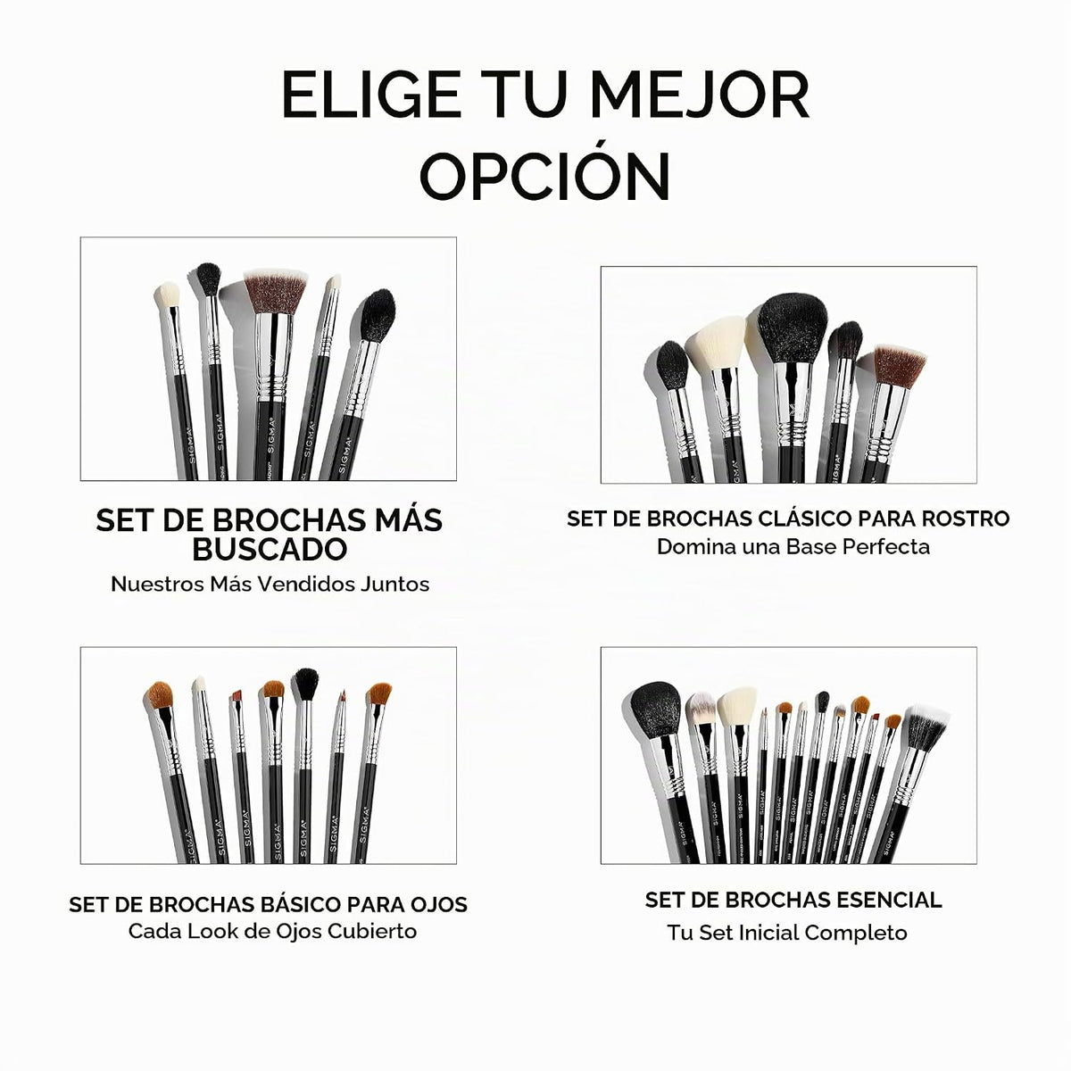 Sigma Beauty Juego de brochas esenciales de maquillaje \u2013 Juego...