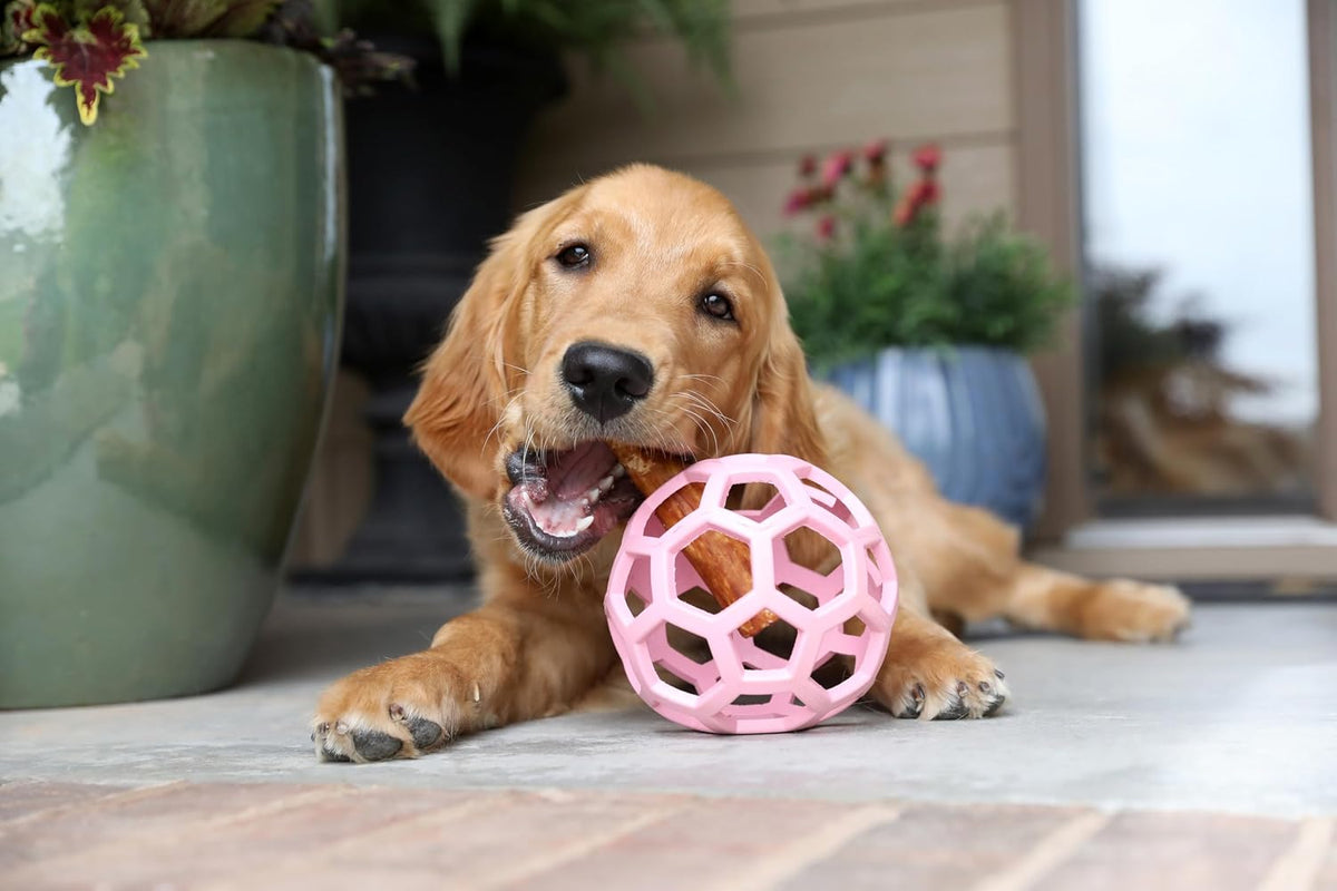JW Pet HOL-ee Roller™, bola de rompecabezas de juguete para perros,...