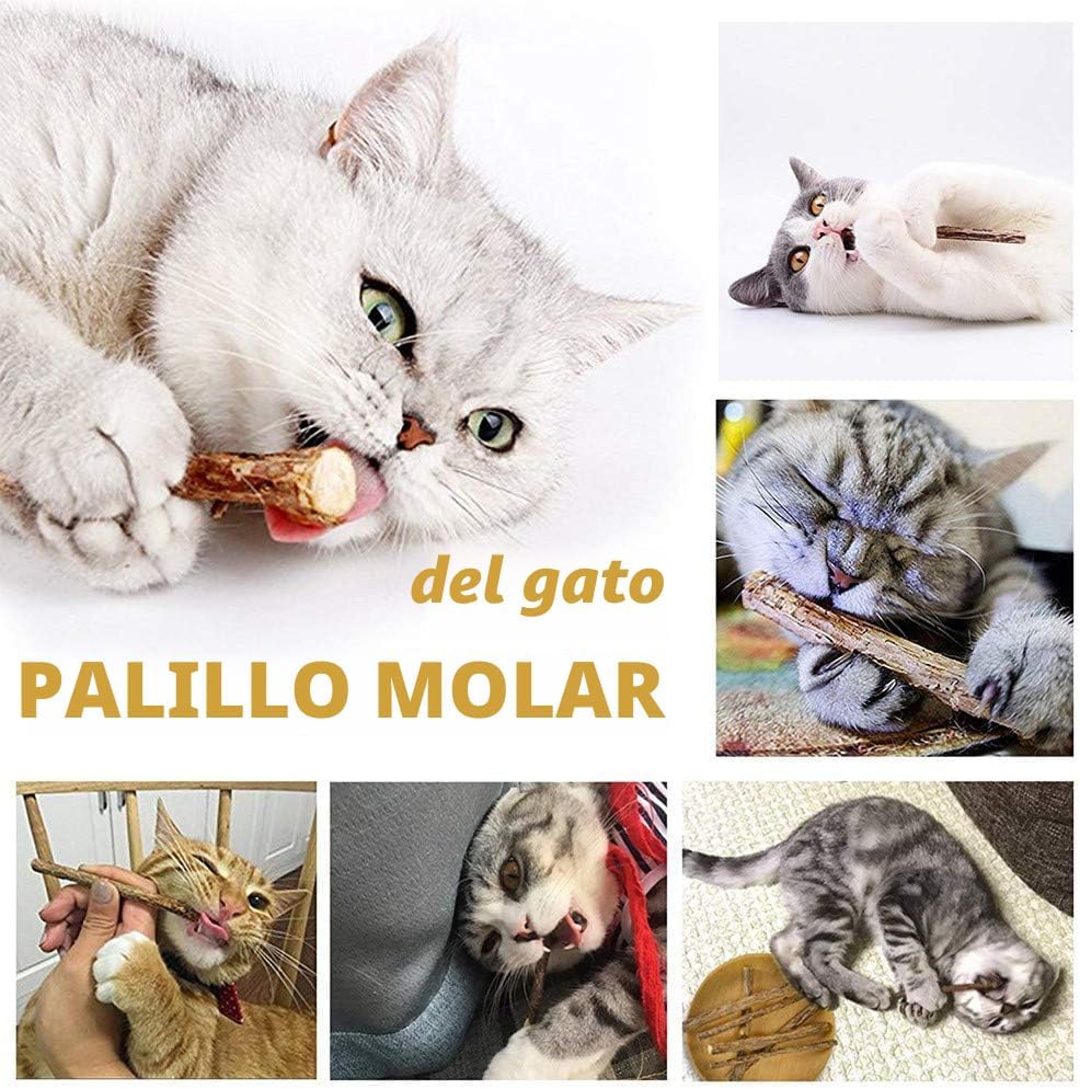 AILUKI 35 PCS Surtidos de juguetes para gatos y gatitos, variedad d...