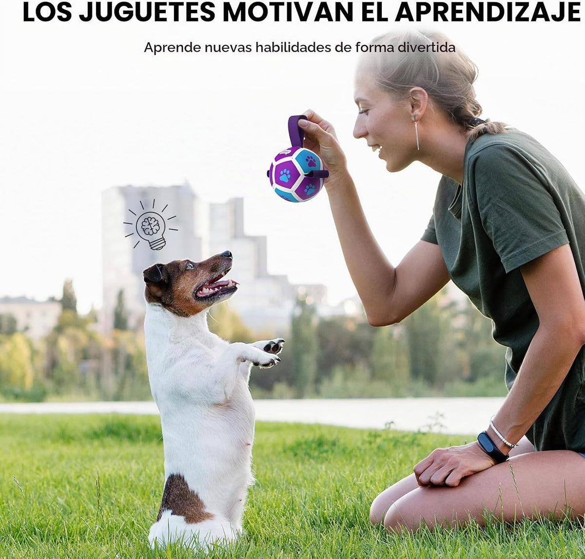 QDAN Juguetes para perros pequeños, pelotas para cachorros, pelotas...