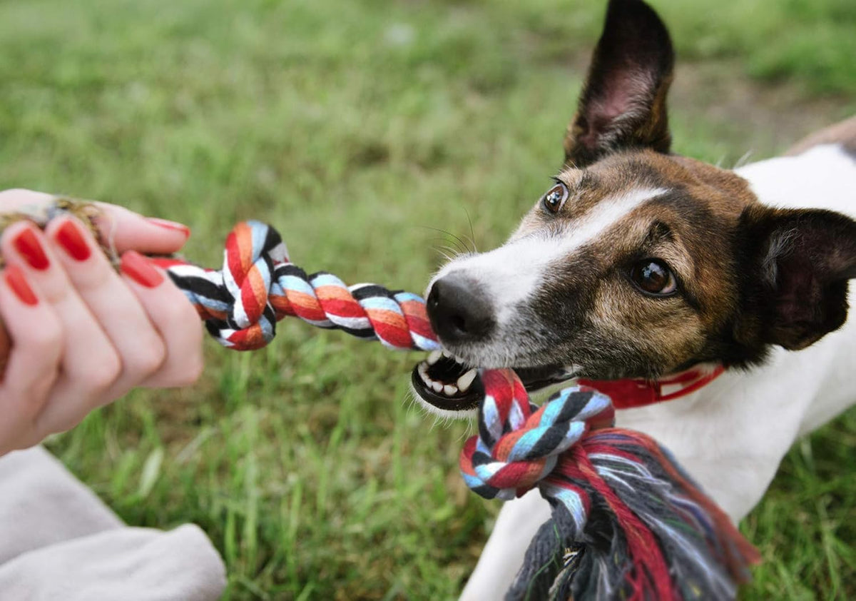 Fida Juguetes de cuerda para perros, paquete de 4 juguetes de algod...