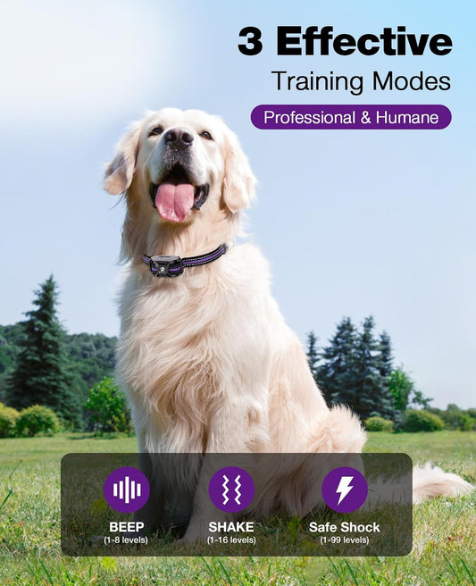 Bousnic Collar de choque para perro - Collar de entrenamiento de 10...