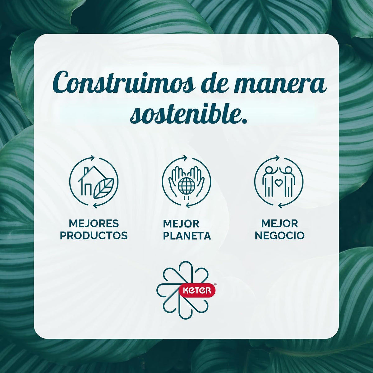 Keter Juego de 3 macetas cilíndricas de resina de ratán para planta...