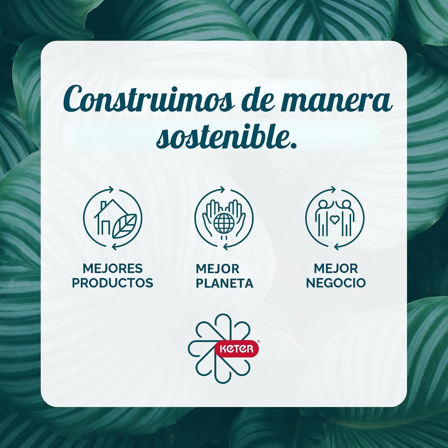 Keter Juego de 3 macetas cilíndricas de resina de ratán para planta...