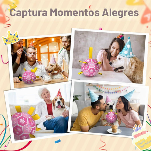 QDAN Juguetes de cumpleaños para perros, juguetes para perros con s...