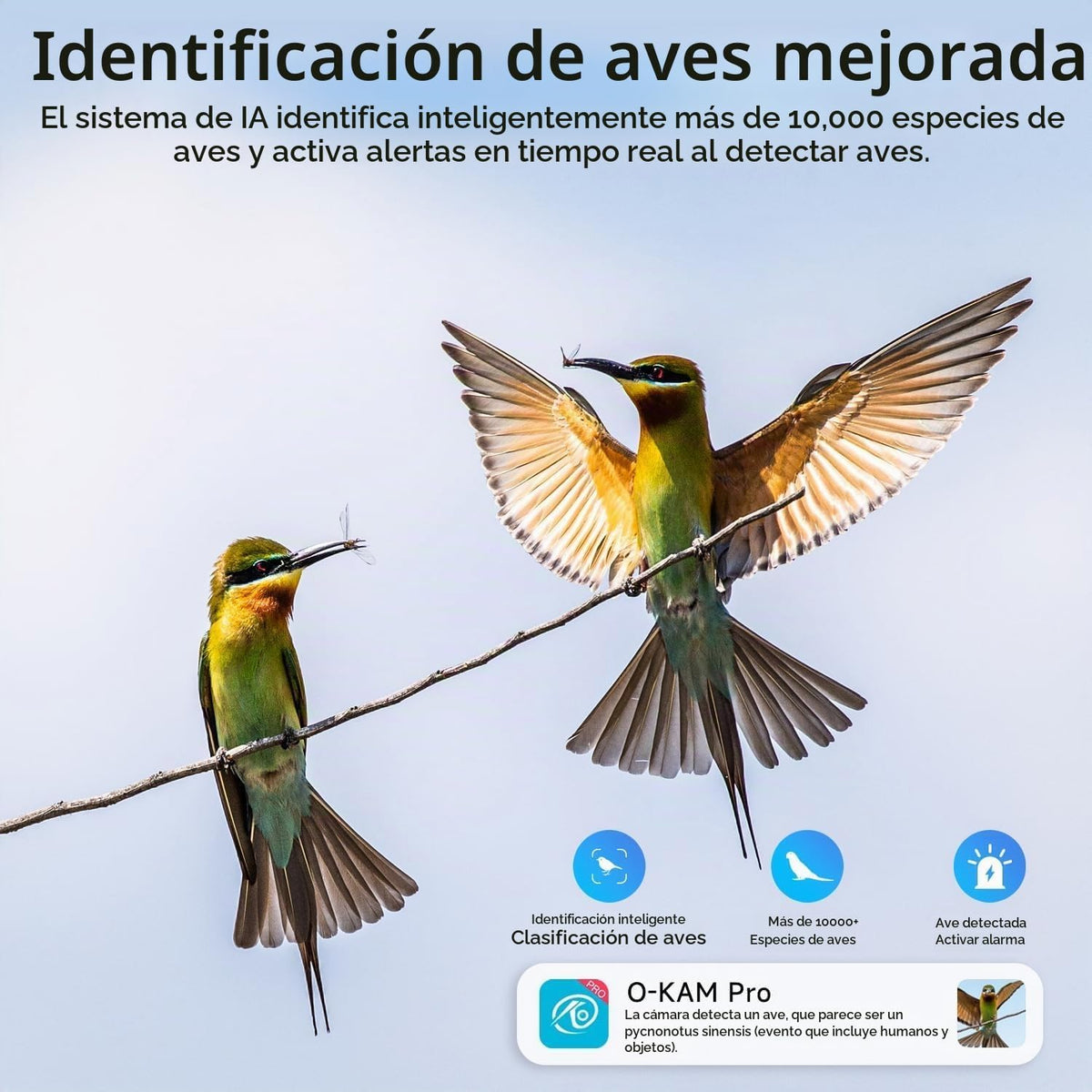 Rraycom 4pc cámaras de seguridad inalámbricas al aire libre con bat...