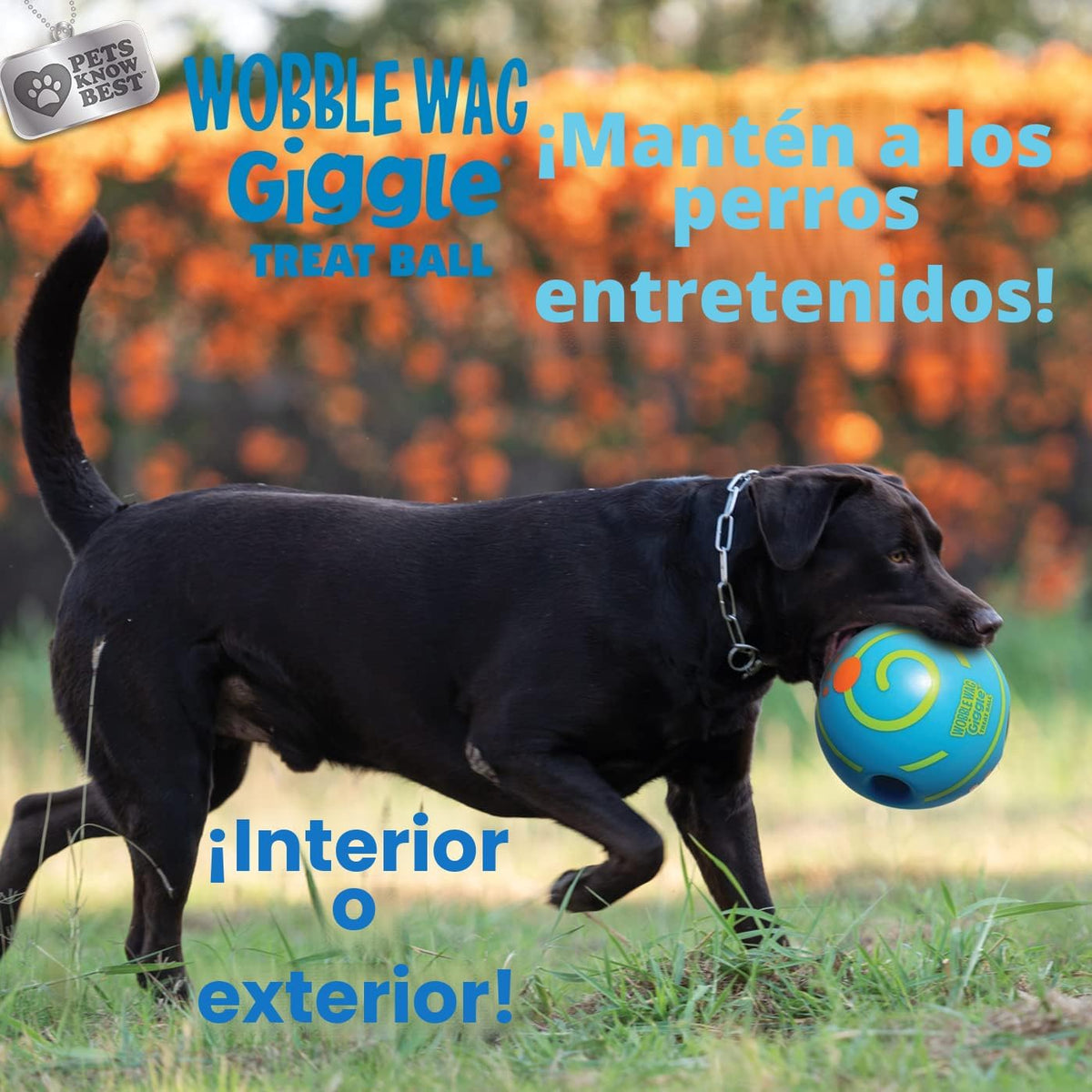 Wobble Wag Giggle Pelota de Golosinas - Juguete Interactivo para Pe...