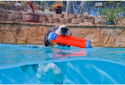 Chuckit! Juguete Palo Parachoques Anfibio de Buscar para Perros \u2...