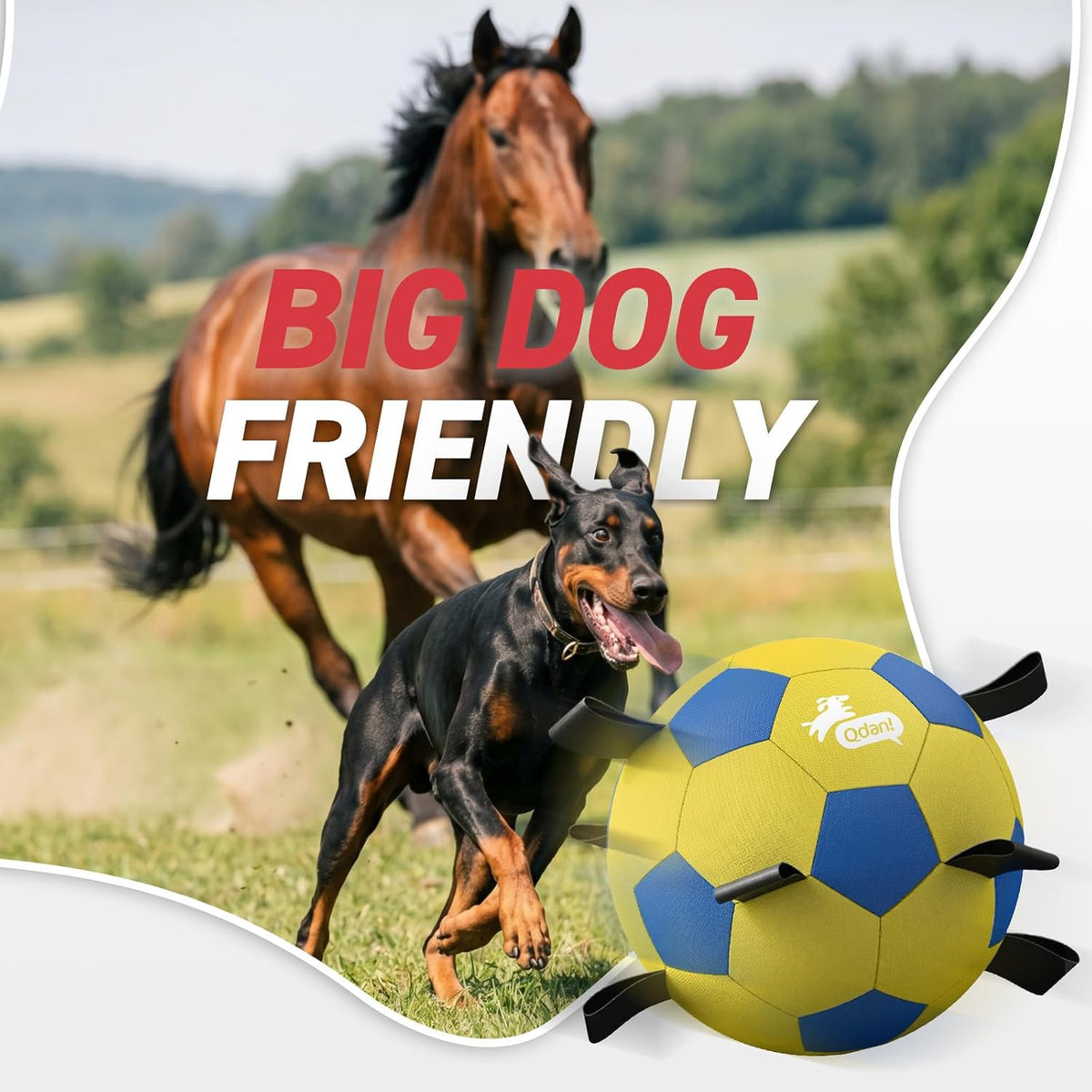 QDAN Pelota de pastoreo de 25 pulgadas para perros con correas, jug...