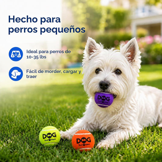 Pelotas de tenis para perros INSUM, paquete de 12 pelotas coloridas...