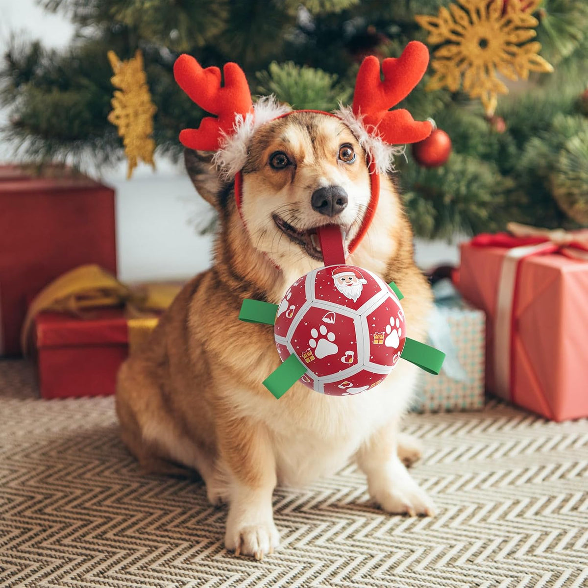 QDAN Juguetes pequeños de Navidad para perros, pelota de fútbol con...