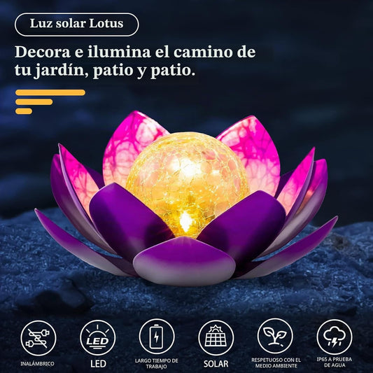 AIINY Luz solar para decoración al aire libre, globo de cristal agr...