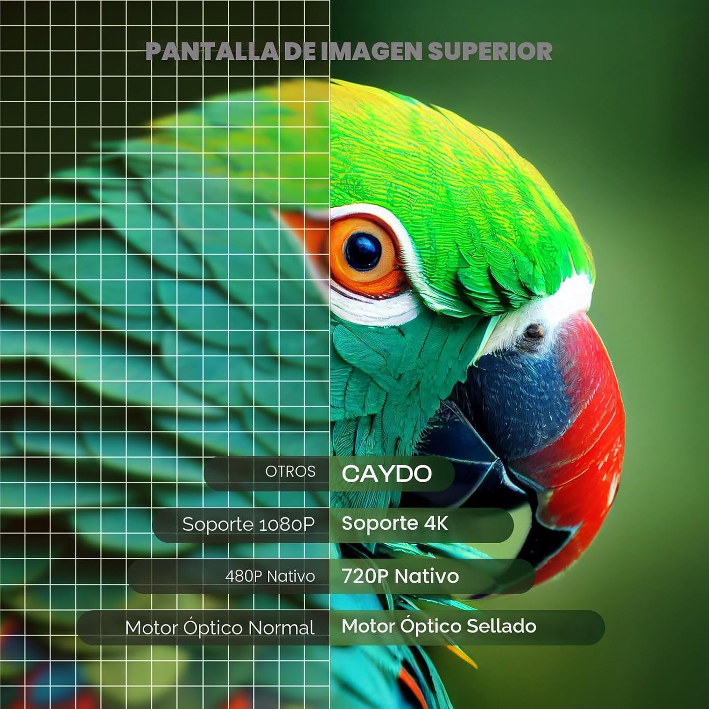 Caydo Proyector de arte P1 con aplicación de dibujo exclusiva para...
