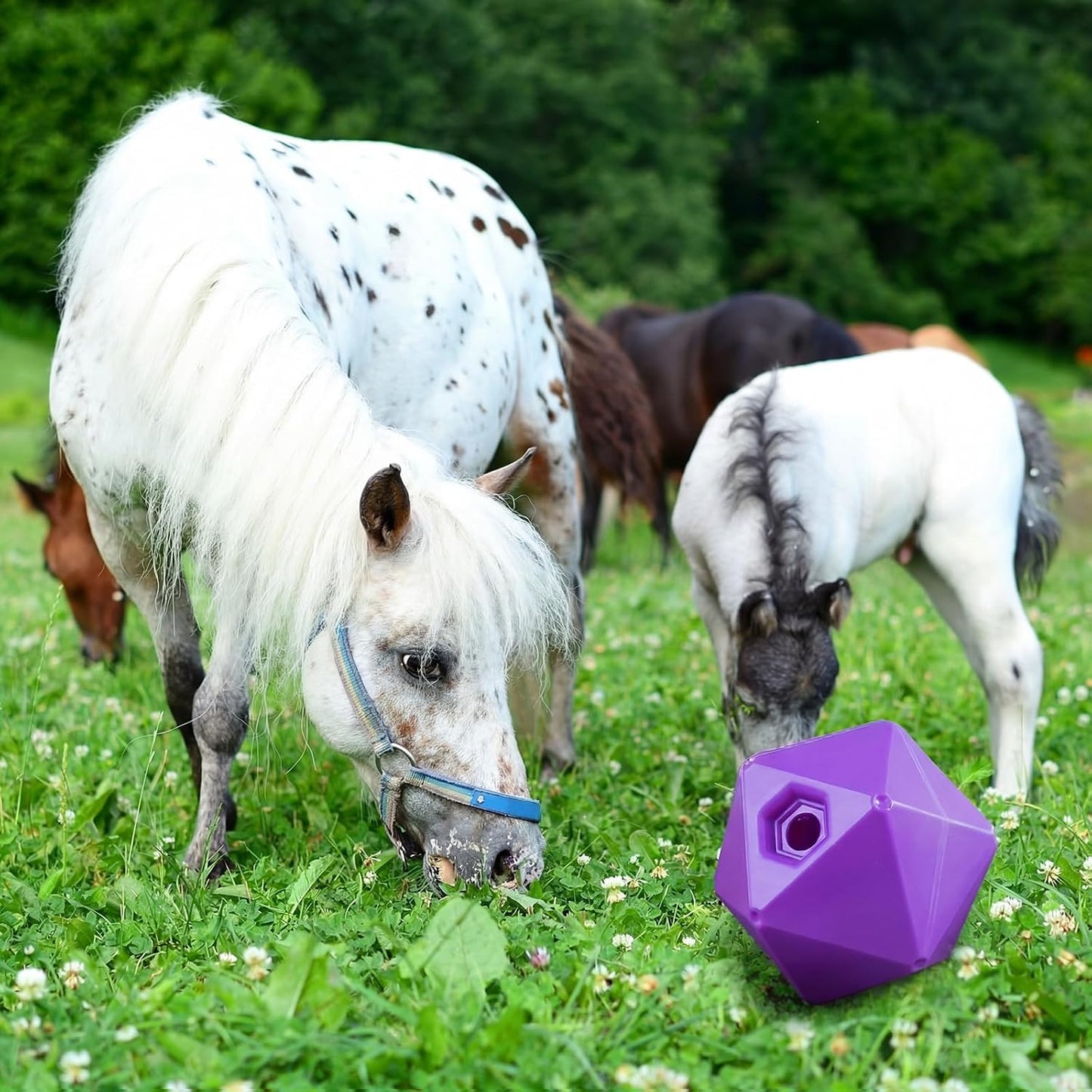 Seenelling Paquete de 1 bola de golosinas para caballos, juguete |...