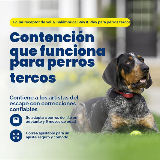 PetSafe Stay & Play - Collar receptor de valla inalámbrica para...