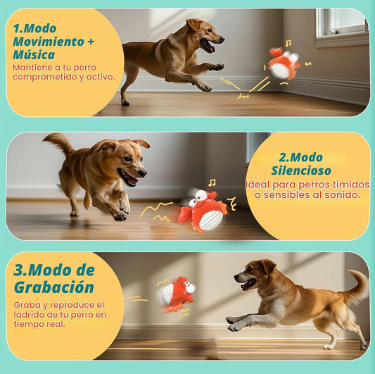 GUKCO Juguetes Interactivos para Perros en Forma de Cangrejo \u2013...