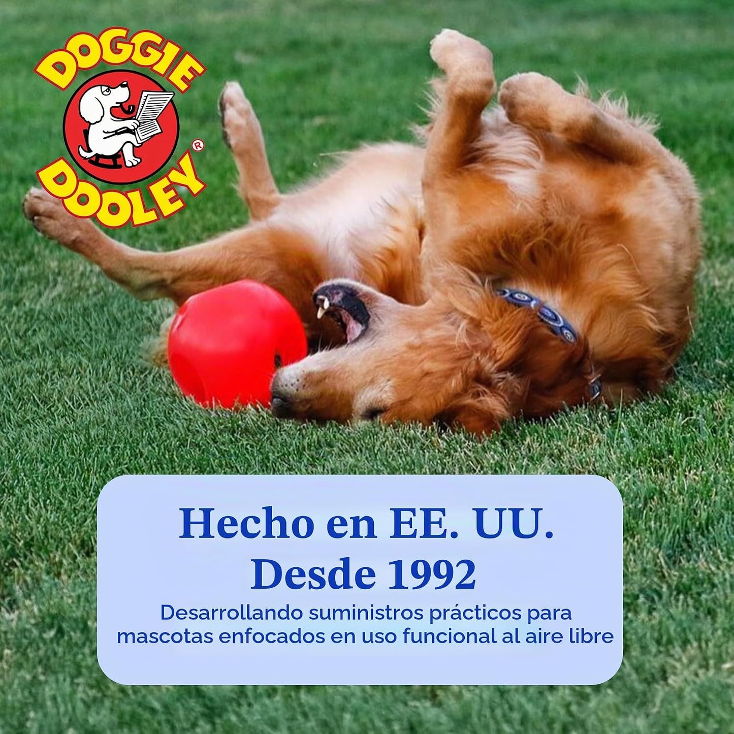Prácticamente indestructible (duro), mejores pelota para perros, 14...