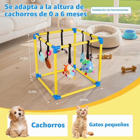 Liitrton Gimnasio de juego para cachorros \u2013 Gimnasio de juego...