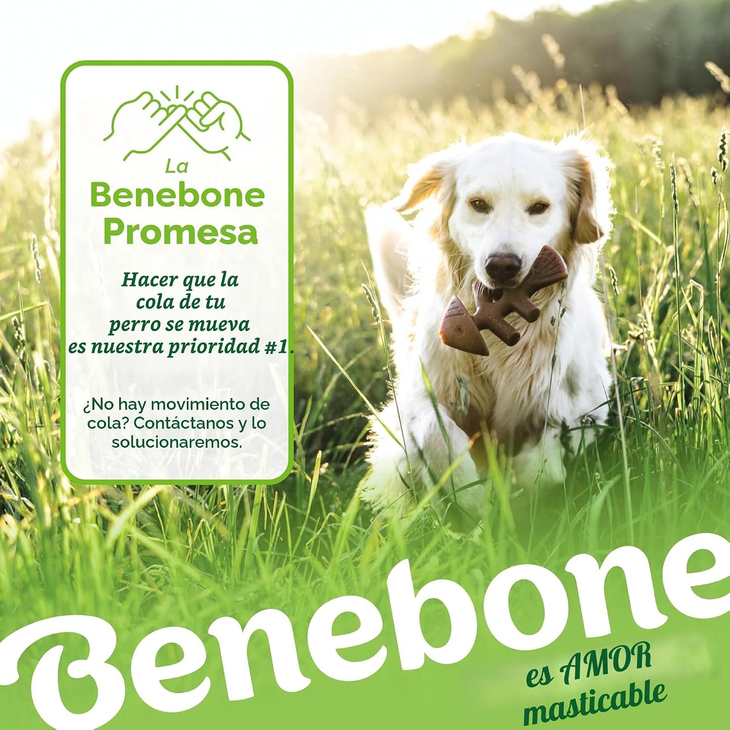 Benebone Paquete de 4 juguetes grandes para perros para masticadore...