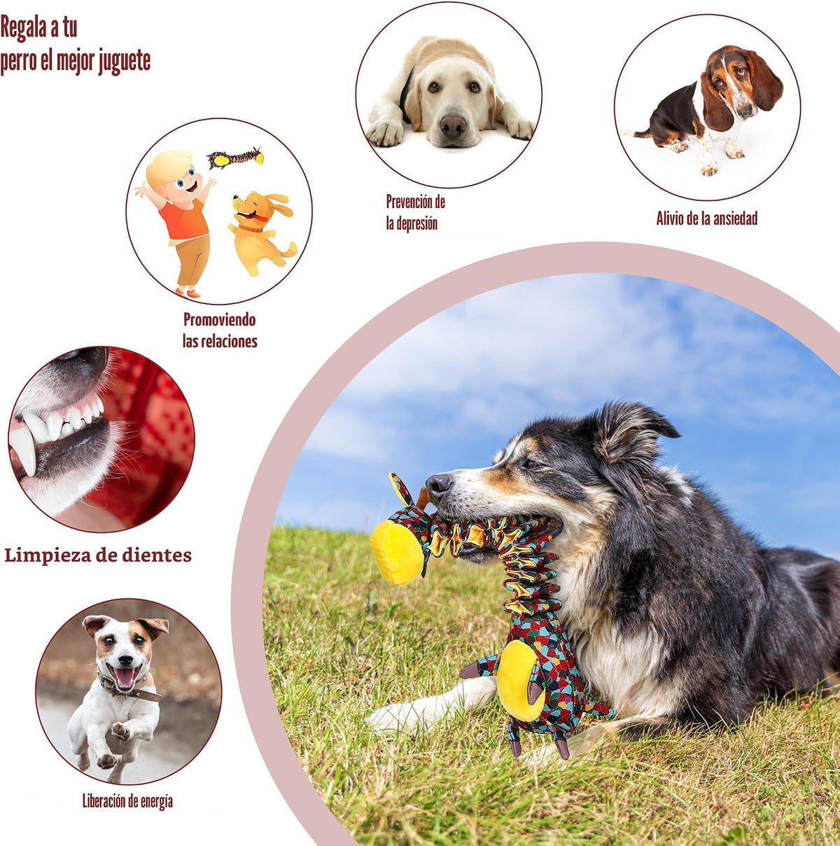 Juguetes resistentes e indestructibles para perros masticadores agr...