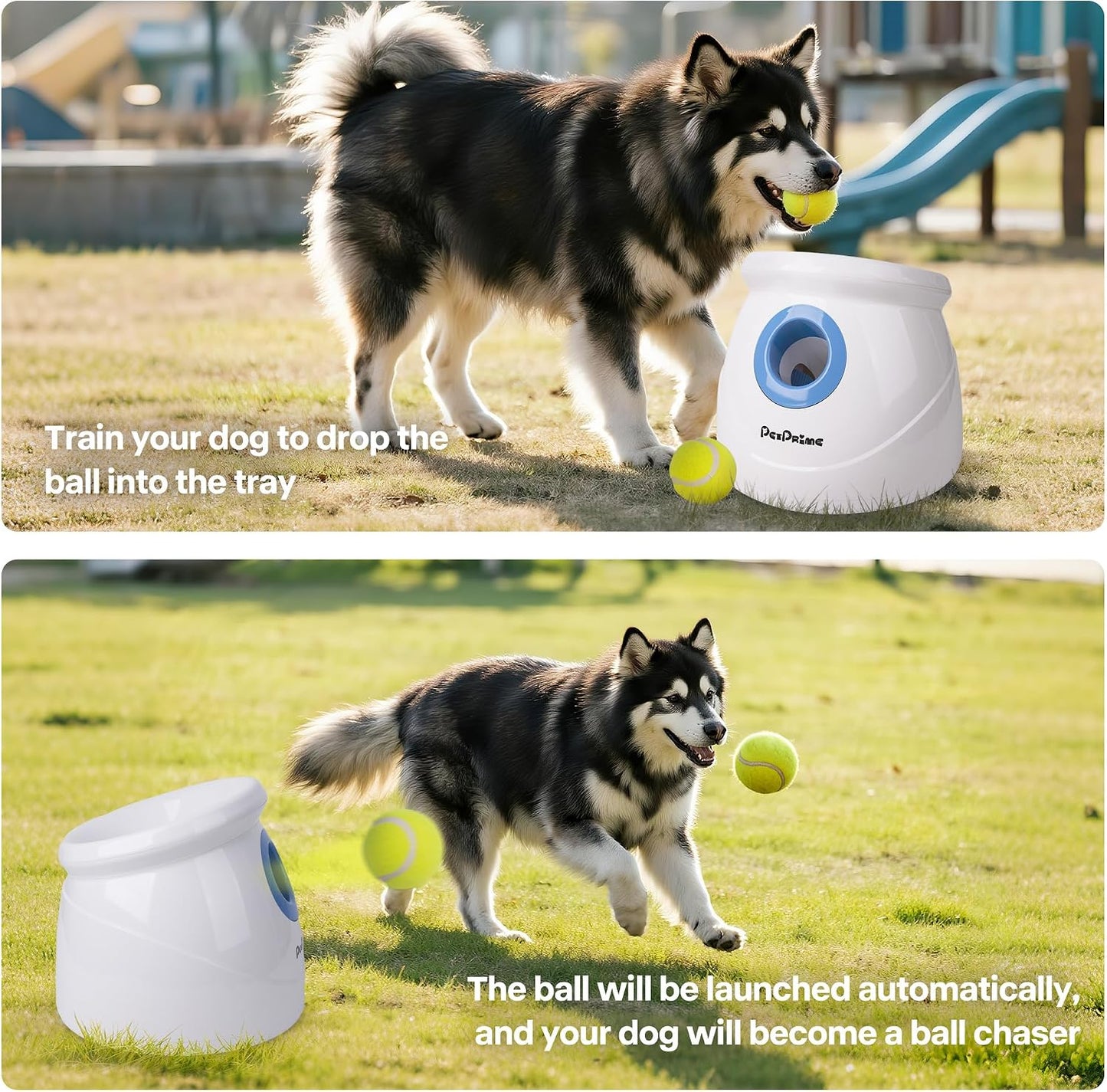 Pet Prime Lanzador automático de bolas para perros grandes, distanc...