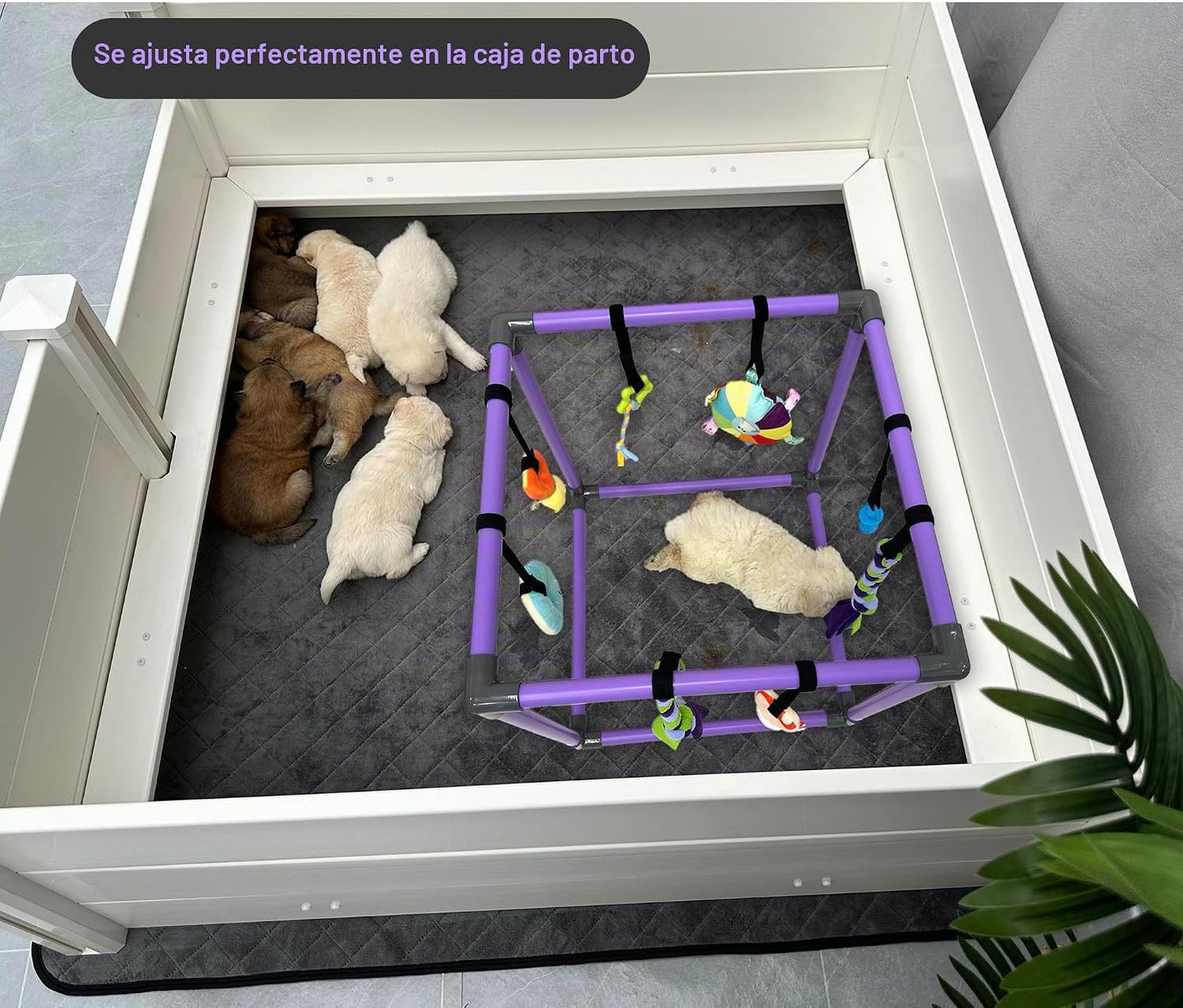 DOZZOPET Gimnasio de Juego para Cachorros para Perros Pequeños con...