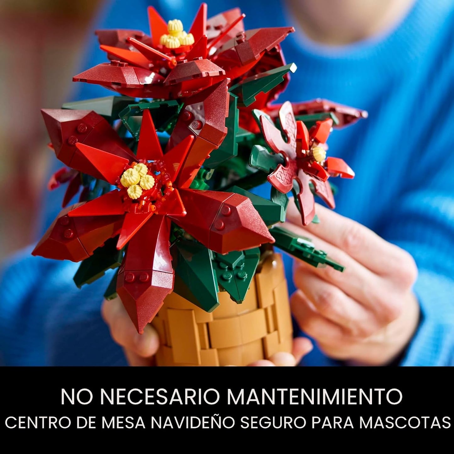 LEGO Icons Poinsettia - Juegos de construcción para adultos, flores...
