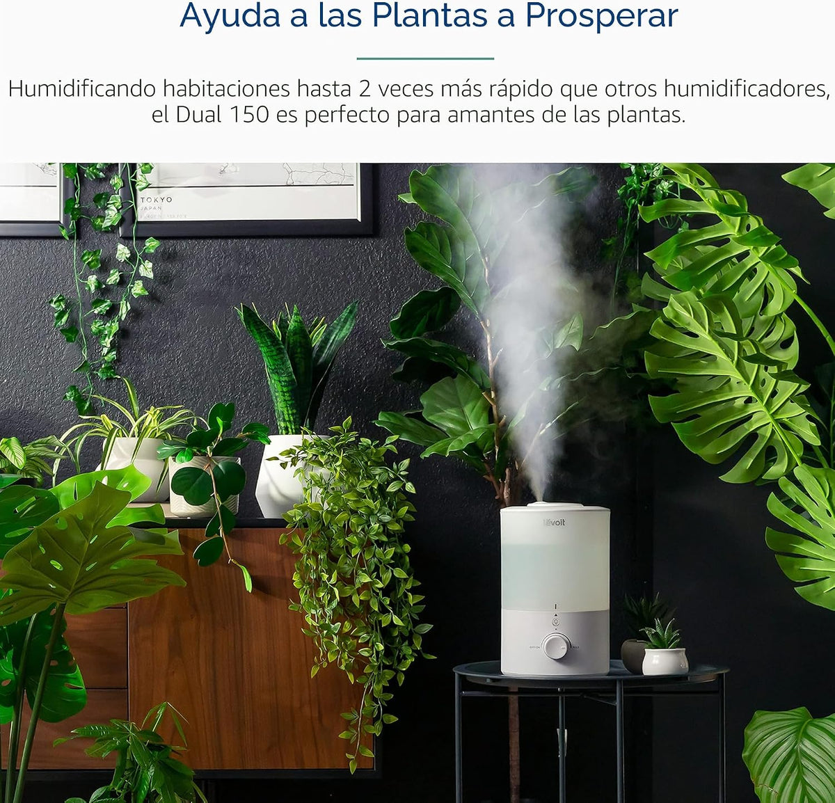Levoit Humidificadores Top Fill 3L para dormitorio con luz nocturna...