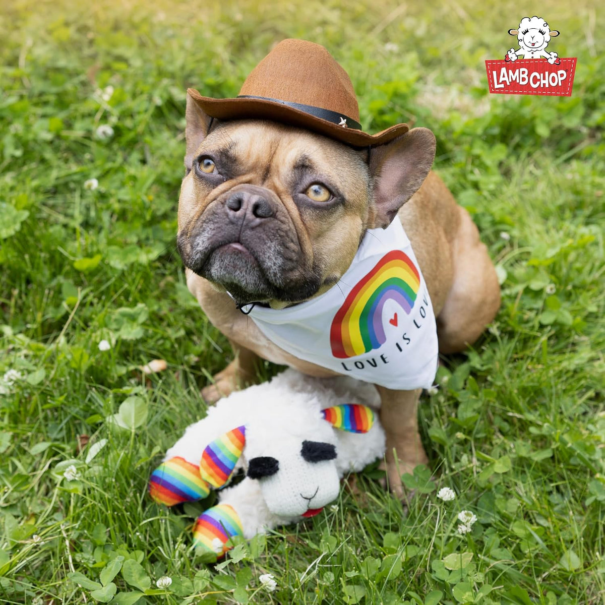 Multipet Lamb Chop - Juguete de peluche para perro con sombrero de...