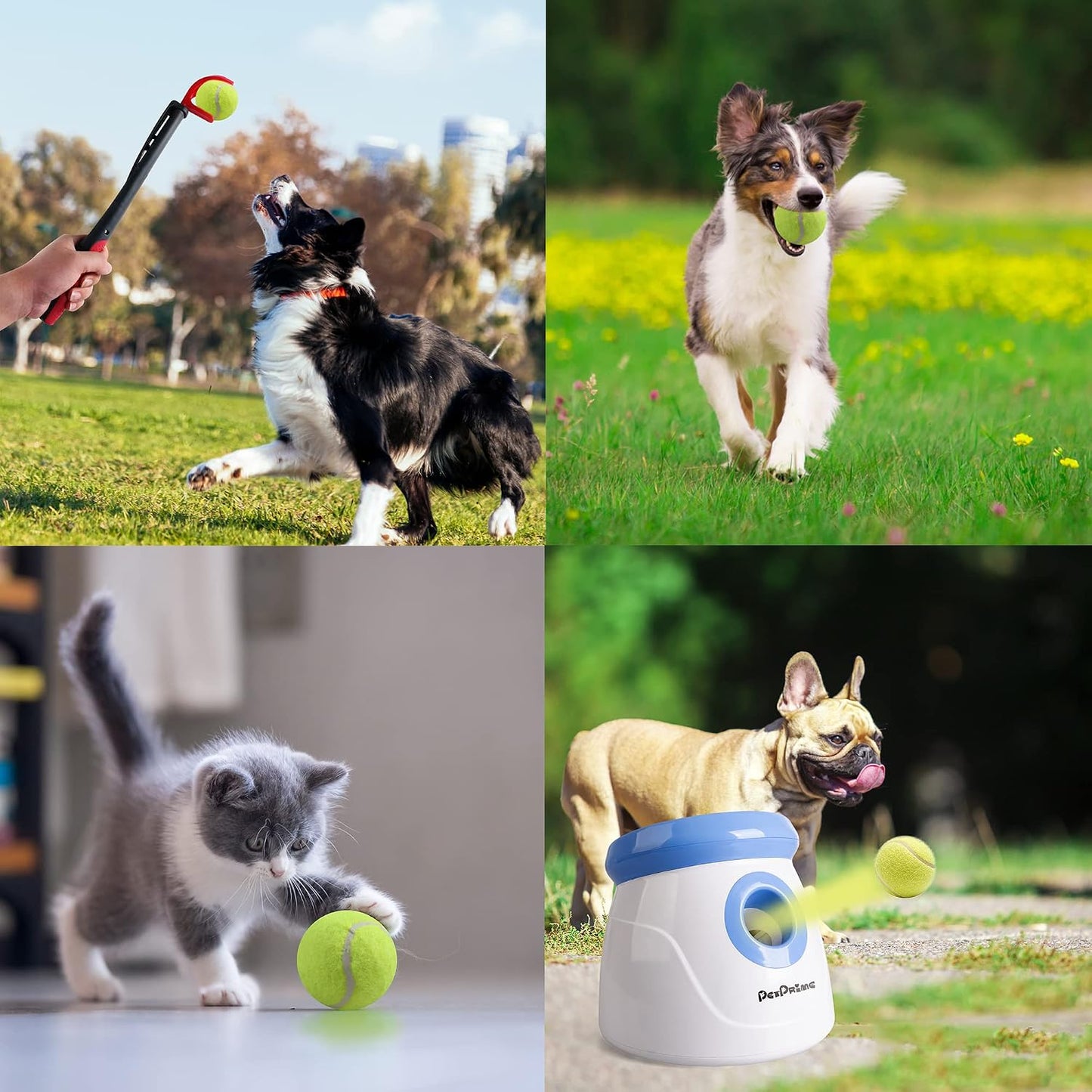 Pet Prime Pelota de tenis de juguete para perros, paquete de 6, 2 p...