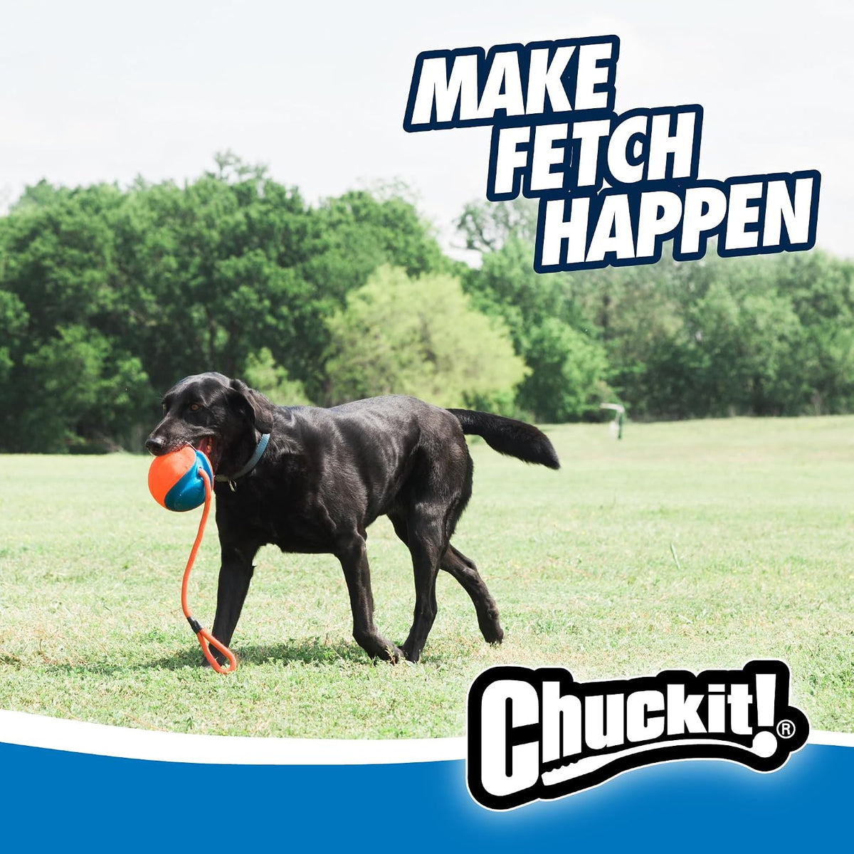 Chuckit! Juguete de cuerda para perros - Bola en cuerda para buscar...